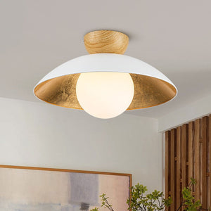 1 - Light Modern Dome Bowl Semi - Flush Mount Ceiling Light - Yiilighting