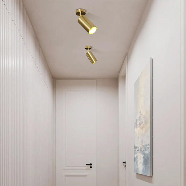 1 - Light Modern LED Ceiling Light Directional Spot Light - Yiilighting