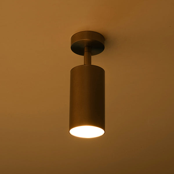 Minimalism 1-Light Nickel Adjustable Directional Dual Ceiling & Wall Mount Spot Lamp