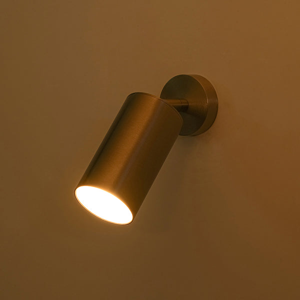 Minimalism 1-Light Nickel Adjustable Directional Dual Ceiling & Wall Mount Spot Lamp