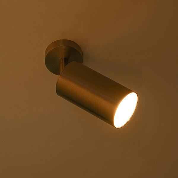 Minimalism 1-Light Nickel Adjustable Directional Dual Ceiling & Wall Mount Spot Lamp