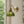 Vintage Wandleuchte mit 1 flammigem gestreiften Glasschirm und Schwanenhals
