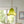 Vintage Cottage Farbverlauf Grün Rüschen Glocke Glas Pendelleuchte