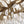 Luxury 20-Light Dandelion Crystal Ring Pendant Chandelier - Yiilighting