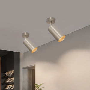 Minimalism 1-Light Nickel Adjustable Directional Dual Ceiling & Wall Mount Spot Lamp - Yiilighting