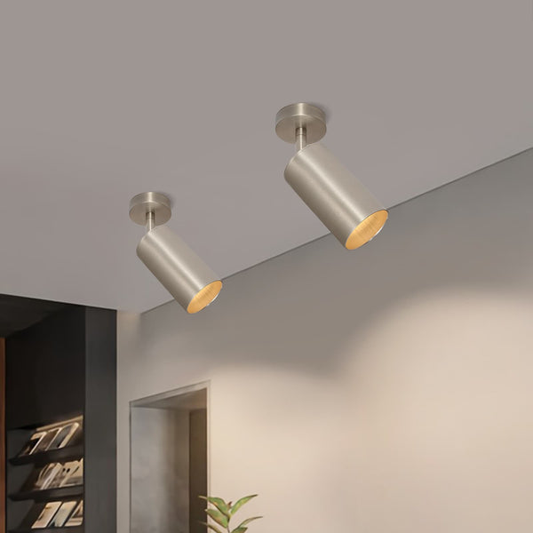 Minimalism 1-Light Nickel Adjustable Directional Dual Ceiling & Wall Mount Spot Lamp - Yiilighting