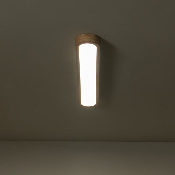 Modern Dimmable Long Oval LED Ceiling Light - Yiilighting