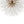 Modern Glam 16 - Light Starburst Dandelion Crystal Glass Chandelier - Yiilighting