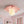 Modern Macaron Pastel Textured Floral Lunar Moon Petal Flush Ceiling Lamp For Kids - Yiilighting