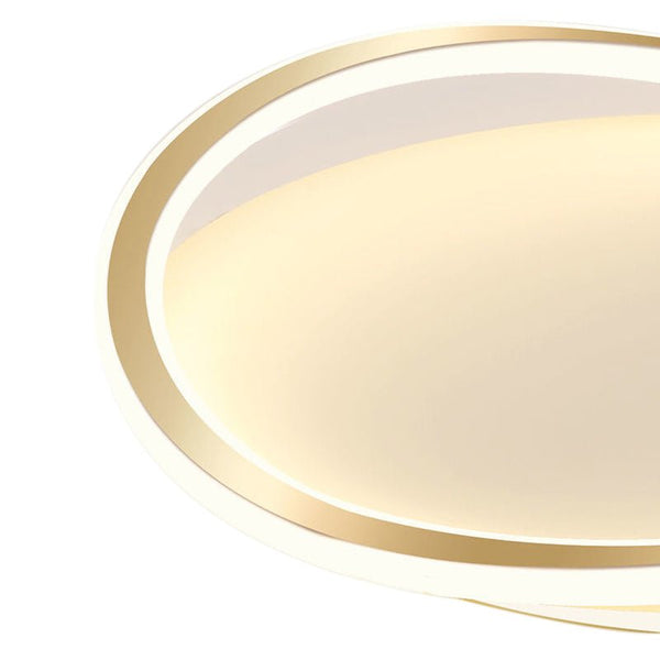 Modern Minimalism Irregular Round LED Metal Flush Mount Ceiling Light - Yiilighting