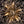 Romantic Luxury Dandelion-Shaped Chandelier with Sparkling Crystals - Yiilighting